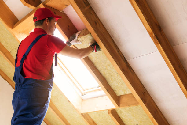 Best Commercial Insulation Services  in Lechee, AZ